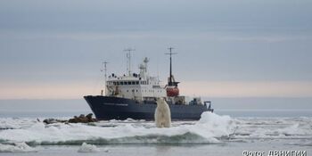 Масштабная научная экспедиция «Трансарктика-2019» доберется до Чукотки летом