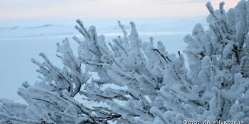 Прогноз погоды по Чукотскому автономному округу на 27 января