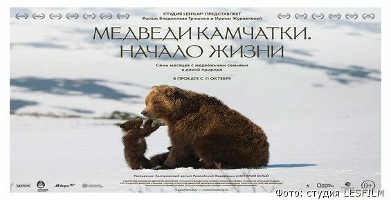 В Анадырь привезут «Медведей Камчатки»