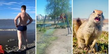Анадырский купальщик, нечистоты в Марково, проснувшийся евраган: обзор соцсетей
