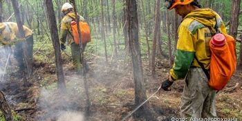 Пять лесных пожаров действуют на Чукотке