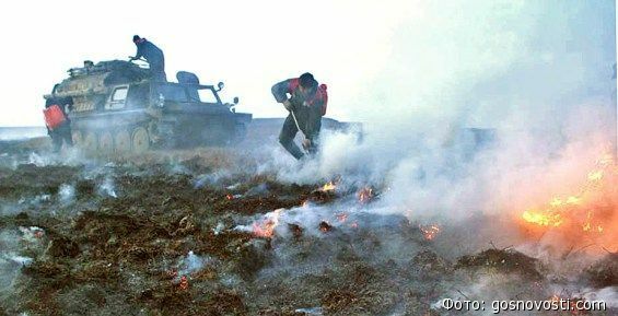 Пожары на оленьих пастбищах потушили на Чукотке