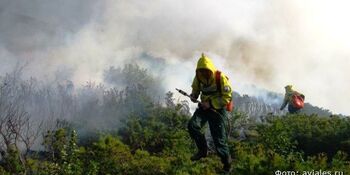 Режим ЧС в связи с лесными пожарами отменили на Чукотке