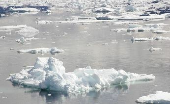 В Архангельске опробовали технологию экологически безопасной резки льда
