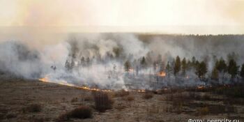 Четыре лесных пожара зарегистрировано на Чукотке