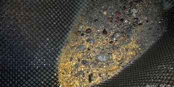 Более 18 тонн золота добыли на Чукотке с начала года