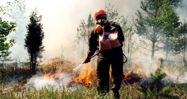 Природный пожар ликвидируют в Анадырском районе