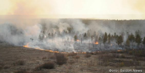 Четыре лесных пожара зарегистрированы на Чукотке