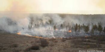 Четыре лесных пожара зарегистрированы на Чукотке