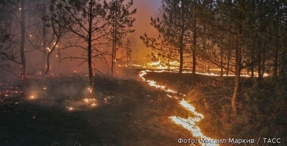 Пожароопасный сезон объявлен на Чукотке
