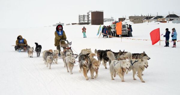 Чукотская гонка на собачьих упряжках "Надежда" стартует 30 марта