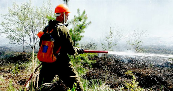 Два крупных природных пожара ликвидируют возле Анюйска