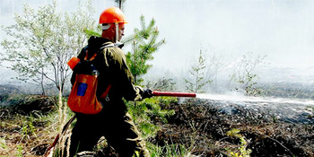 Два крупных природных пожара ликвидируют возле Анюйска