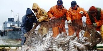На Чукотке самый большой прирост по добыче  лососевых в ДФО