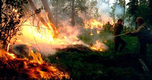 Четыре природных пожара действовали на Чукотке в выходные