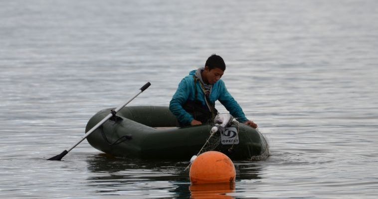 Заявки на традиционное рыболовство в 2023 году подали более 1600 жителей Чукотки