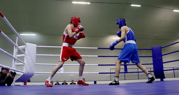 Межрегиональные соревнования по боксу завершились в Билибино