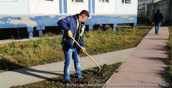 Более 60 организаций Анадыря присоединились к субботнику "Зелёная России"