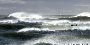 Штормовой ветер до 30 м/с ожидается на побережье Чукотки