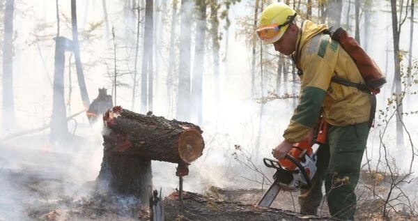 Самый крупный в этом году природный пожар потушили на Чукотке