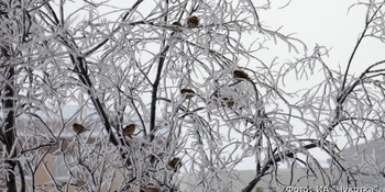 В среду на Чукотке возможен небольшой снег