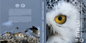 Фотоальбом "Птицы острова Врангеля" готовят к изданию
