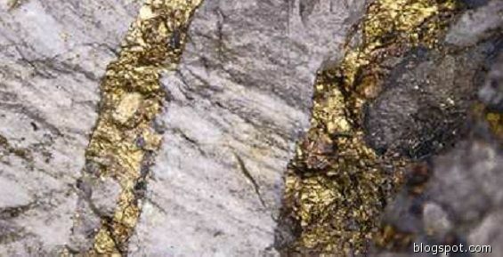 Kinross Gold опубликовала данные по добыче золота за первый квартал