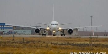 Прокуратура усомнилась в «птичьей» безопасности аэропорта Анадырь 