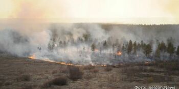 Чукотке могут потребоваться дополнительные силы и средства для тушения лесных пожаров