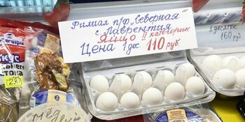 В Чукотском районе начали продажу куриных яиц местной птицефабрики