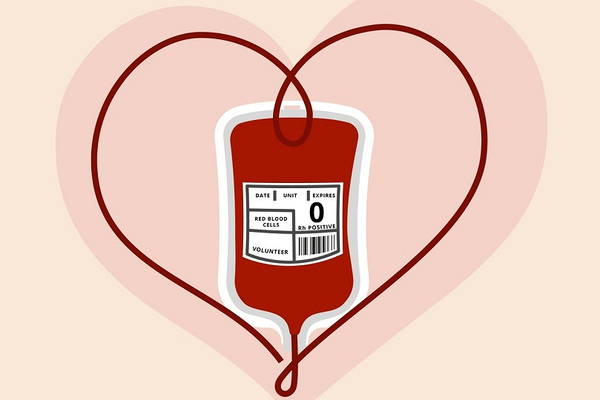 Донорство крови: история 