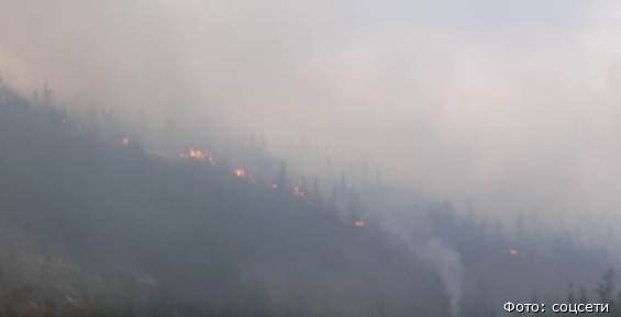 Режим ЧС ввели в двух районах Чукотки из-за лесных пожаров