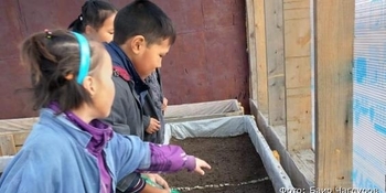 В школьной теплице села Конергино дети выращивают редис, укроп и салат