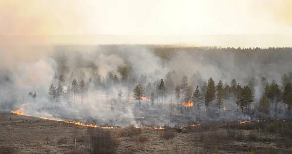 Гидрометцентр: Дымом от лесных пожаров в Якутии затянуло столицу Чукотки