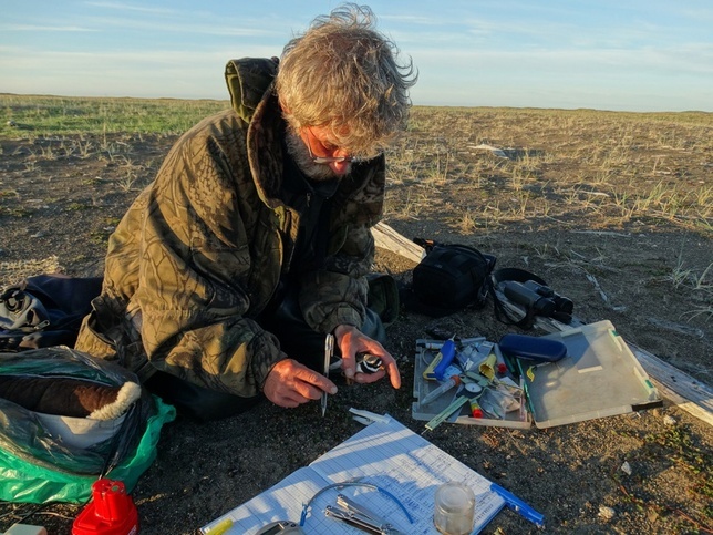 Десятилетие мониторинга сообщества тундровых птиц косы Беляка