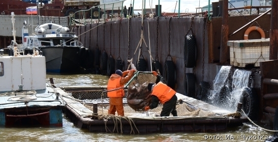 С начала путины-2017 на Чукотке выловили около 1,3 тыс тонн лосося