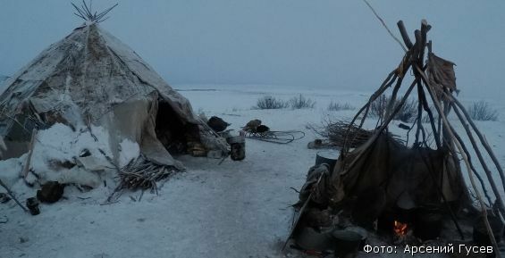 Первые два мобильных жилища для оленеводов установят на Чукотке в феврале