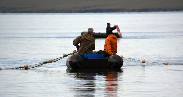 Рыболовы-любители смогут ловить лососей на трёх новых участках