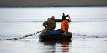 Рыболовы-любители смогут ловить лососей на трёх новых участках