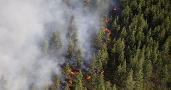 Более чем в три раза сократились количество и площадь природных пожаров на Чукотке