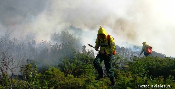 Авиалесоохрана удвоит группировку десантников-пожарных на Чукотке