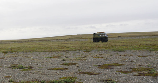 Поселение древних эскимосов нашли археологи возле бывшего аэродрома Алсиба на Чукотке
