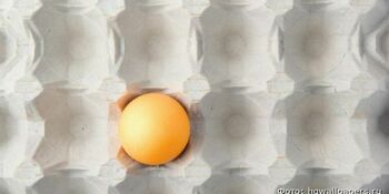 Предприниматели: Дефицит куриных яиц в Анадыре вызван повышенным спросом