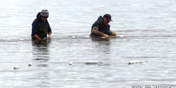 Новые рыболовные участки на Чукотке сформируют инициативные группы