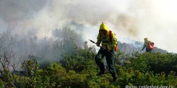 Два лесных пожара действуют на Чукотке
