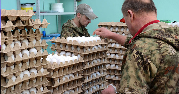 Стабильные цены на яйца и такси помогли затормозить годовую инфляцию на Чукотке