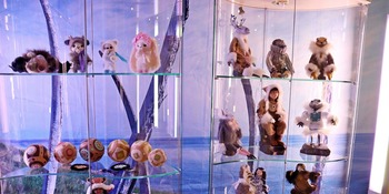 В Музейном Центре «Наследие Чукотки» откроется выставка клуба «Тан'пэрагты»