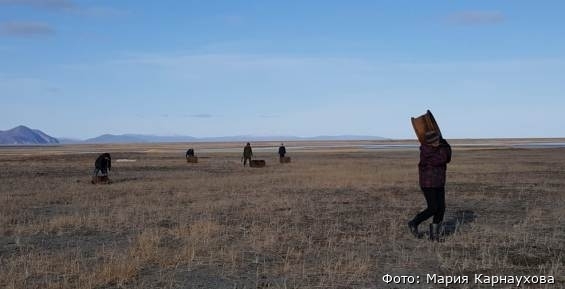 Древнее эскимосское поселение на Чукотке частично очистили от ржавых бочек