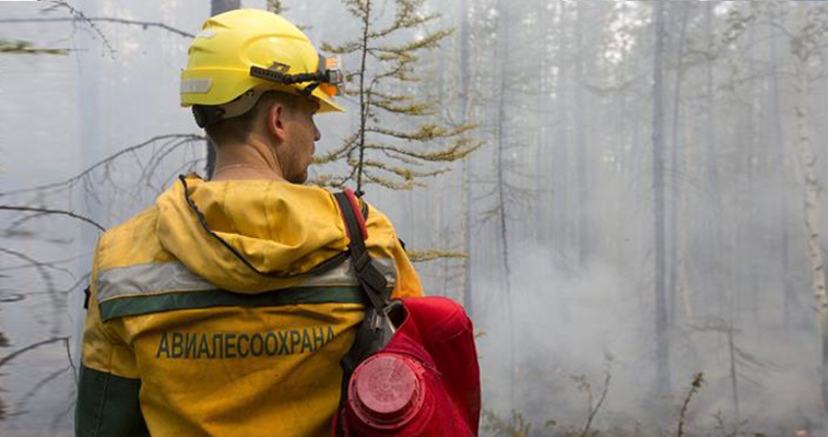 В этом году число природных пожаров на Чукотке сократилось в три раза 