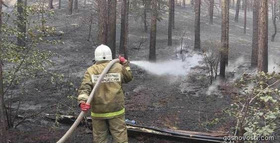 Три природных пожара тушат на Чукотке
